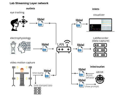 Lab Streaming Layer (LSL) Gets Its Reference Paper: A Milestone for Neuroscience Research - BrainAccess Lab Streaming Layer (LSL) Gets Its Reference Paper: A Milestone for Neuroscience Research - BrainAccess